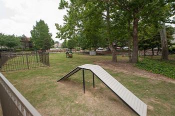 Pet park